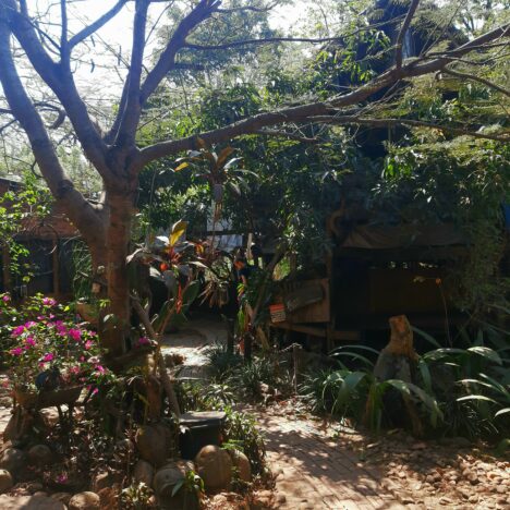 Auf Tour für die Wahl