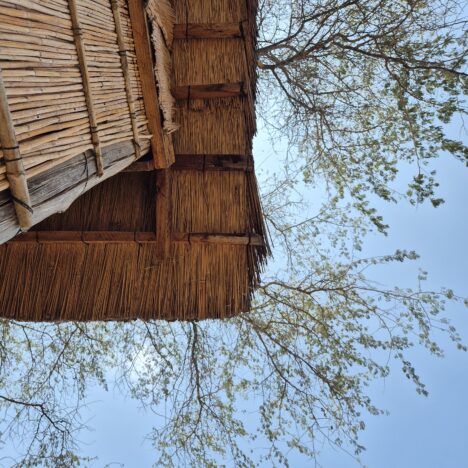 Über Blantyre und den Campus