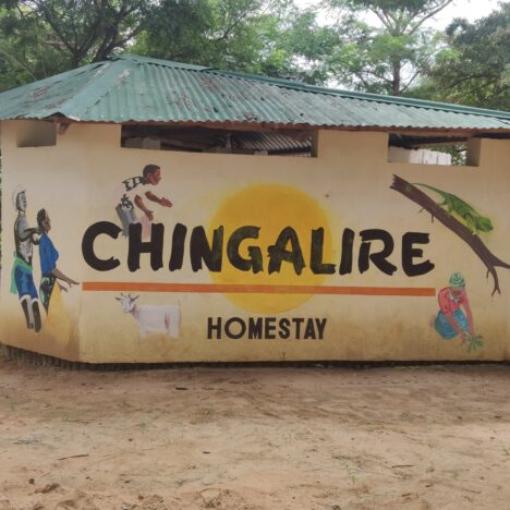 Nach fast vier Monaten zurück auf deutschen Boden